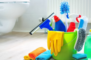 Messie Reinigung Heidenheim An Der Brenz