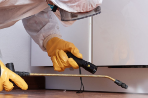 Messie Schädlingsbekämpfung Heidenheim An Der Brenz